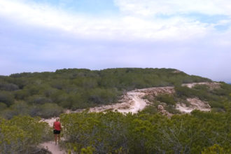 Ruta Moncayo Guardamar