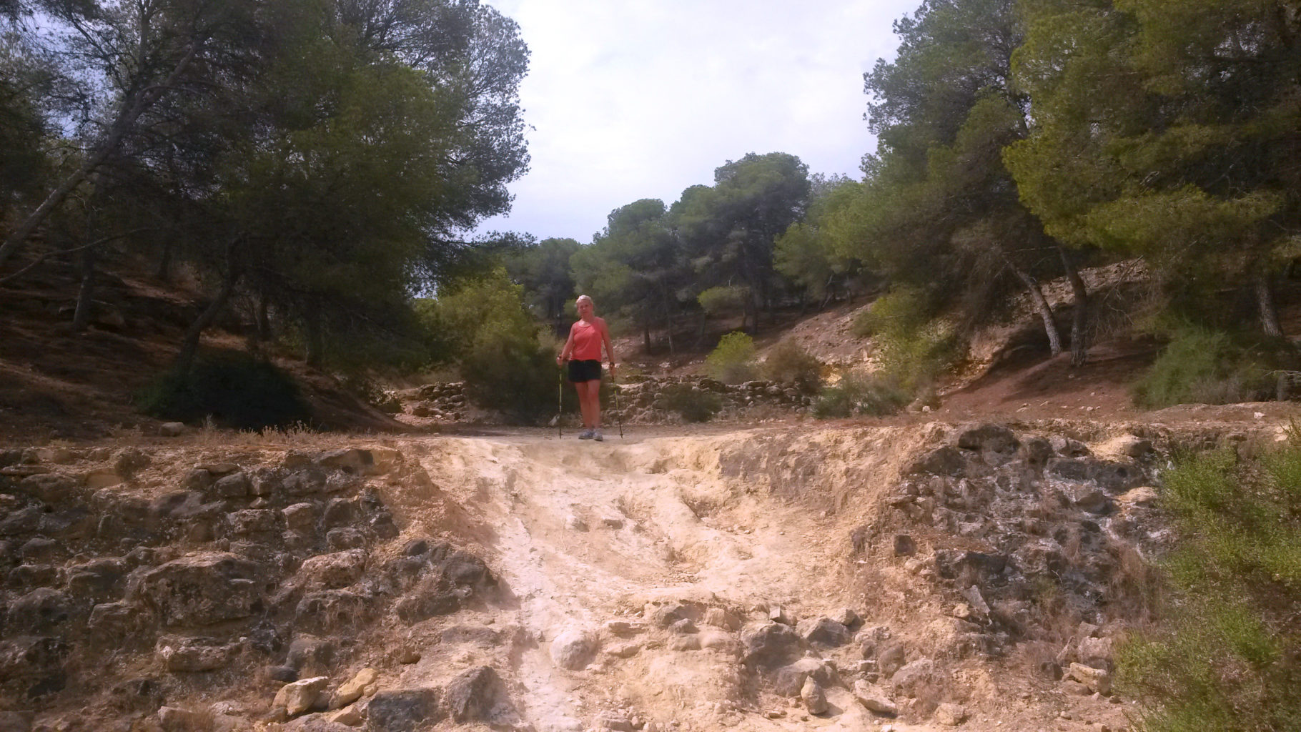 Ruta Moncayo Guardamar