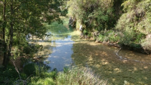 Rio Borosa Ferraba Cazorla