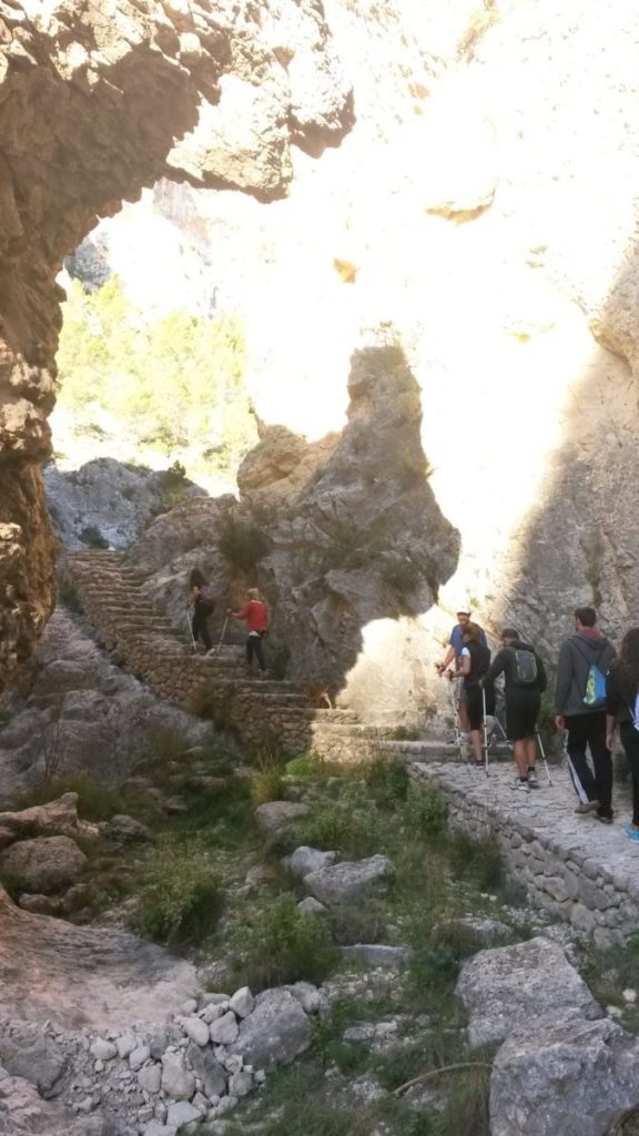 Ruta de Marcha nórdica Barranco del Cint